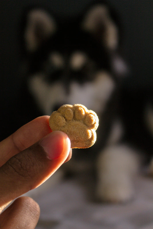 Cleaner Dog Treats, Healthier Dogs