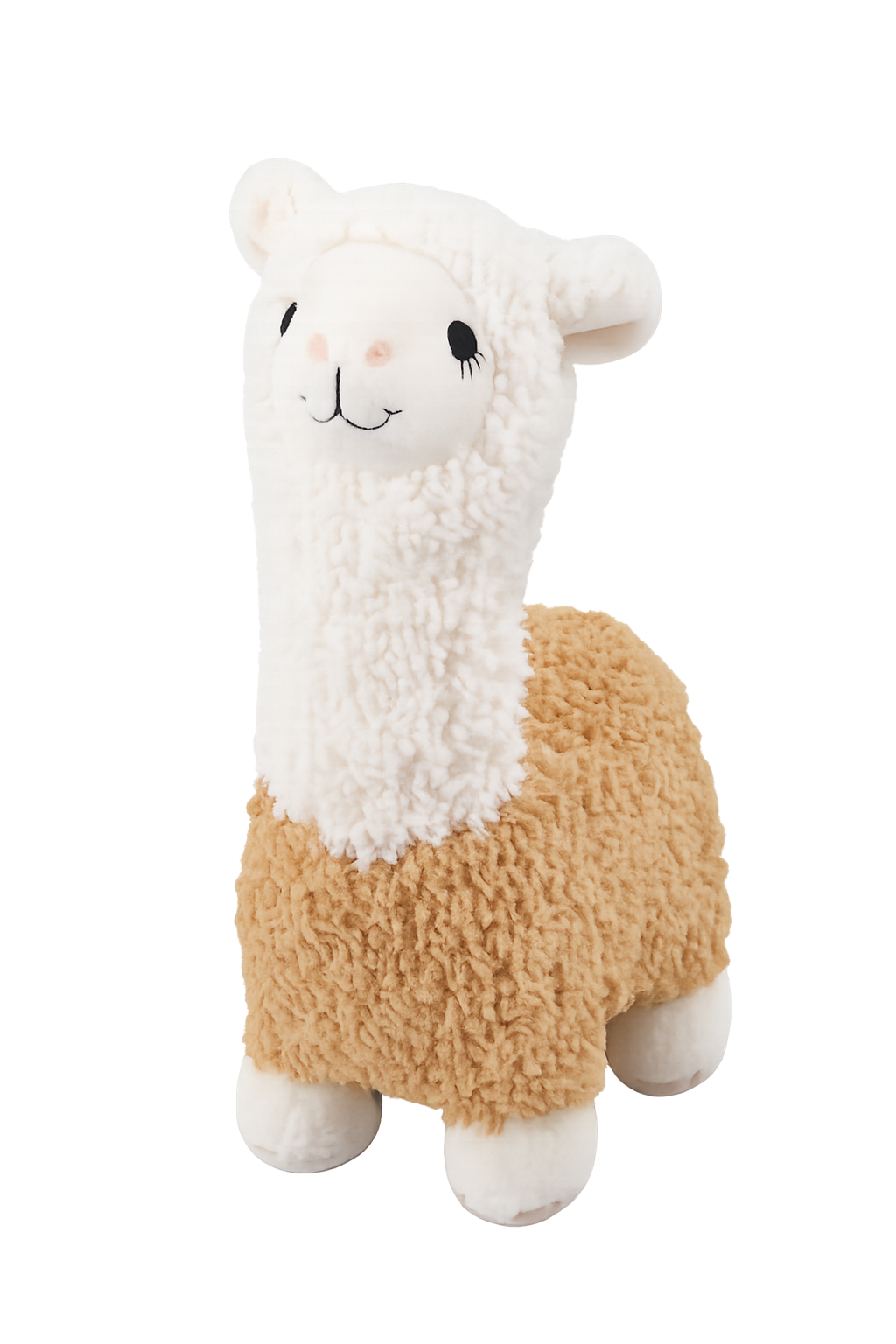Honey Paca