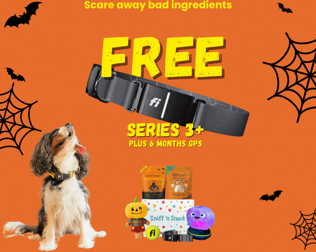 Mobile Banner